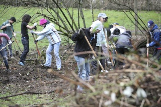 Redmond teens help remove invasive plants during a Green Redmond Program event at Farrel-McWhirter Park last Saturday. The Redmond Youth Partnership Advisory Committee (RYPAC) in collaboration with Green Redmond Partnership started the program