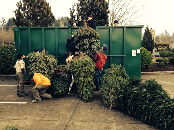 Members of Redmond Boy Scout Troop 557 recycle Christmas trees last year.