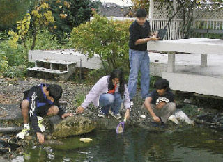 The Olympians collect data at the pond. From left