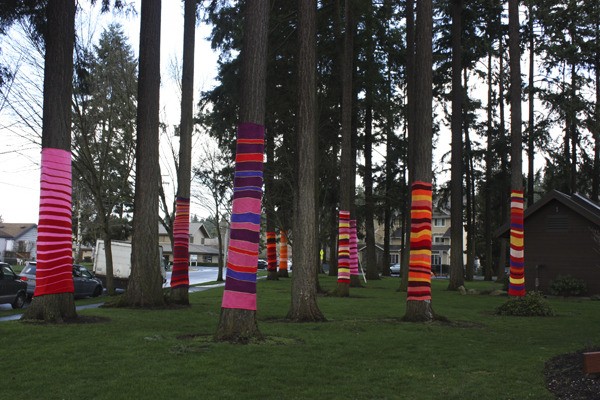 The 'tree socks' art exhibit will remain on display at Anderson Park through August. The exhibit was extended due to popular demand