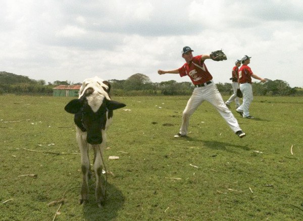 Overlake School sophomore Jackson Umberger warms up before a baseball in the Dominican Republic as a cow stands next to him.