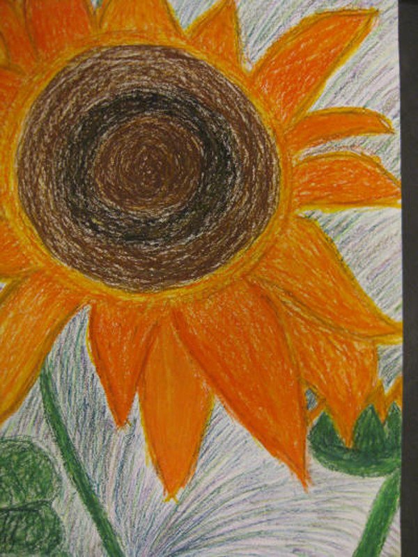 One of several sunflower drawings by students in the World Art class at Evergreen Junior High School. The drawings will be sent to U.S. soldiers overseas as part of the Operation Iraq-Afghanistan program.