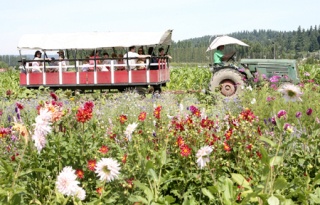 Kids and adults enjoy a hayride tour of the farm at the South 47 Farm last spring.