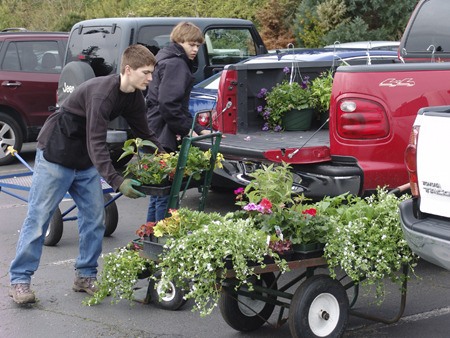LWTC Environmental Horticulture students Maximillian Crothers (left) and Peter Graddon load plants purchased at Lake Washington Technical College's 2010 Spring Plant Sale. The sale continues at the Kirkland Campus