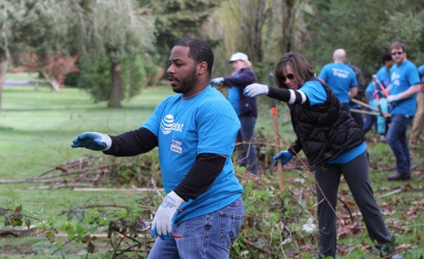 AT&T employee Jeremy Jupiter helps with removing blackberry plants at Marymoor Park.