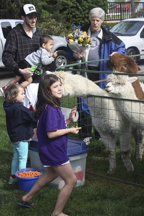 Redmond Saturday Market attendees visit with Heart of Dreams alpacas on last year's opening day.