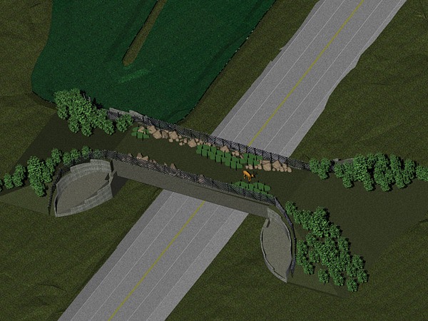 This is a rendering of the wildlife crossing King County is planning to build over Northeast Novelty Hill Road just outside of Redmond.