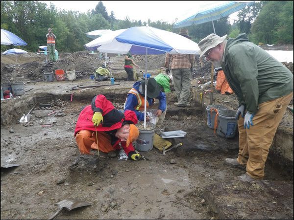 Dr. Robert Kopperl (center) digs at the Lower Bear Creek habitat restoration area.