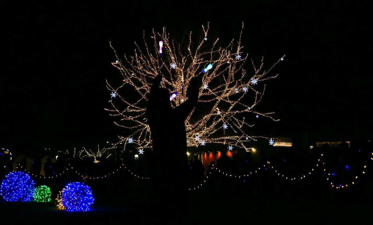 A colorful, festive evening at Redmond Lights