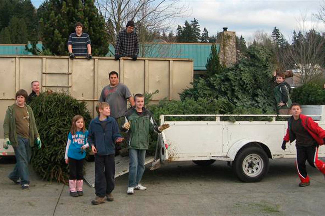 Redmond scouts offering three collection dates for Christmas tree recycling