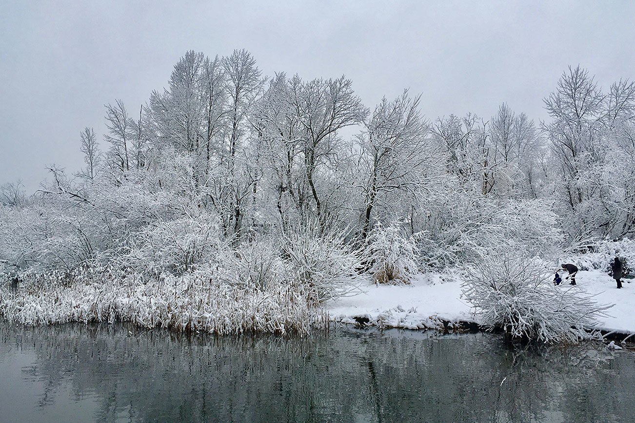 Winter wonderland: Redmond community enjoys a snow day on Monday | SLIDESHOW
