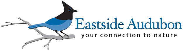Eastside Audubon Society to hold benefit bird seed sale