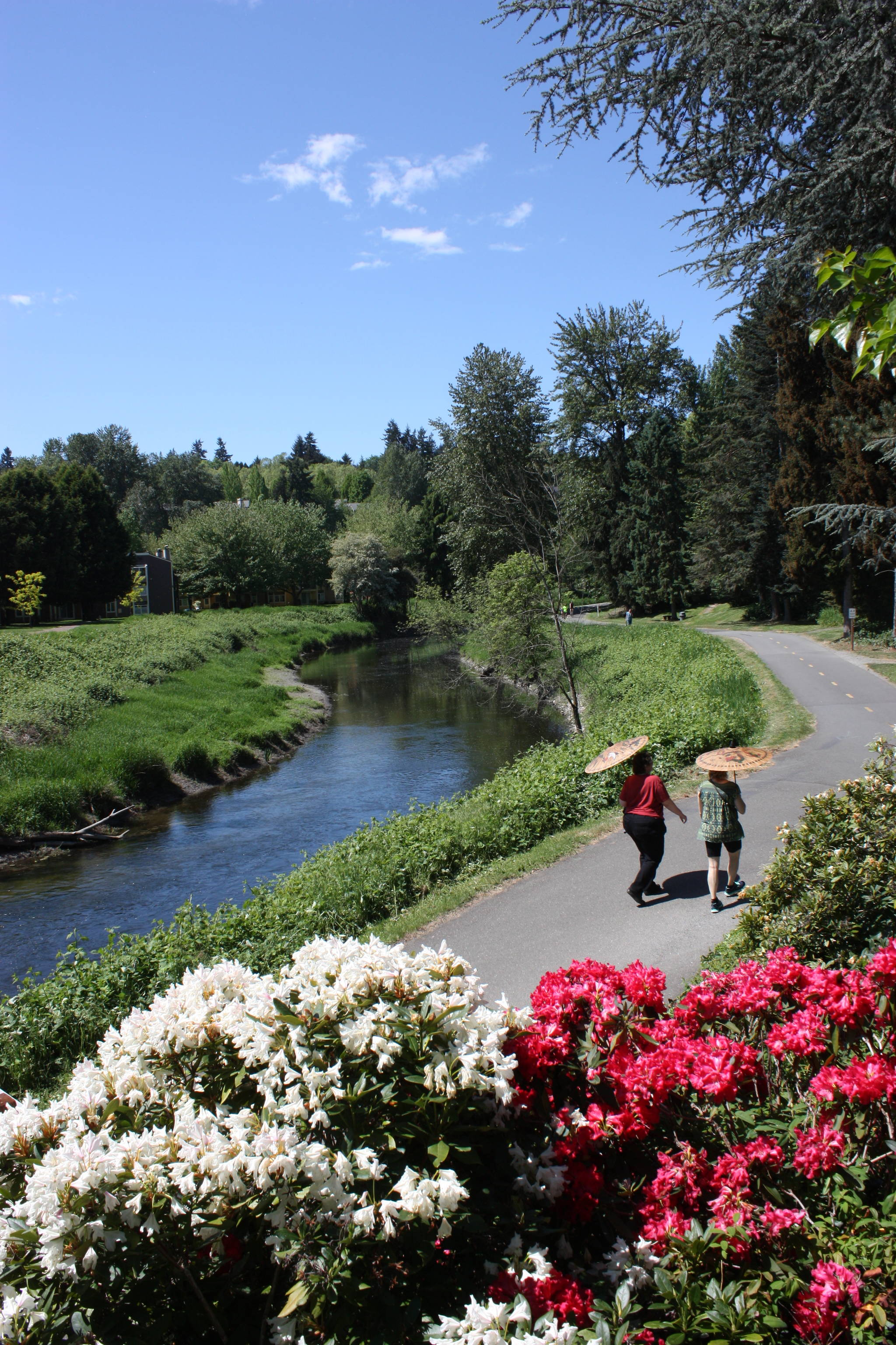 Andy Nystrom took first place in photography in Color Pictorial — “My City Redmond.”