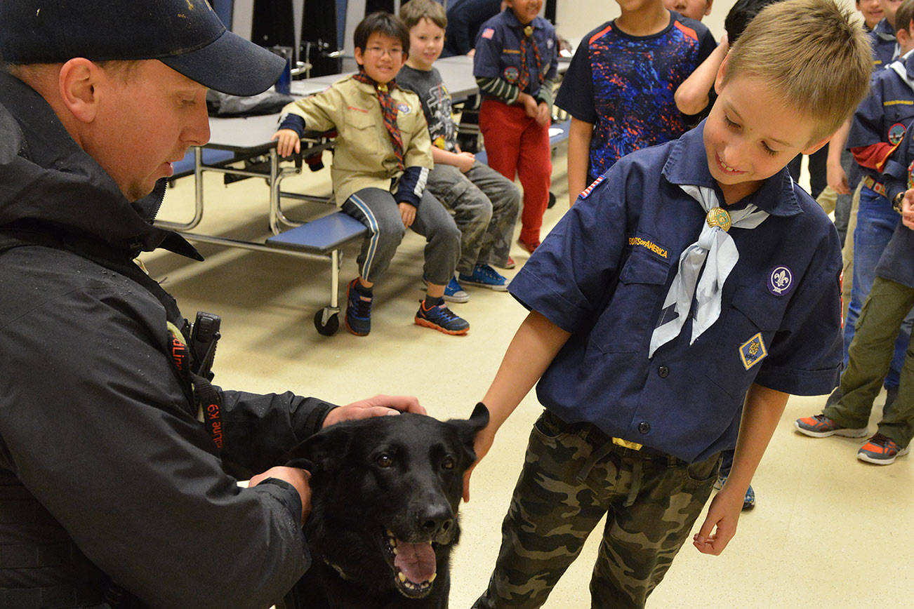 Police dog meets Cub Scout
