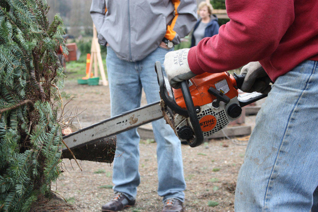 Redmond farm spreads holiday cheer with trees Redmond Reporter