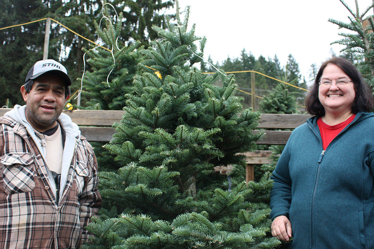 Redmond farm spreads holiday cheer with trees