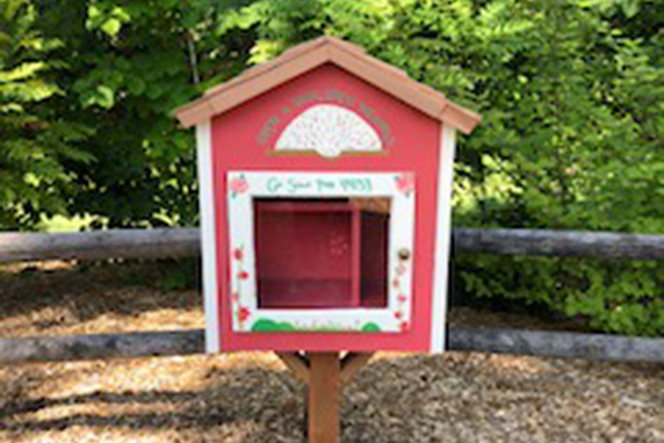 Girl Scouts help install Little Free Library in Redmond’s Grass Lawn Park