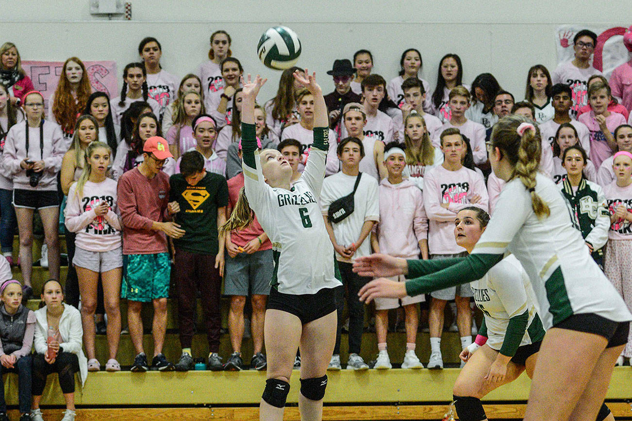 Bear Creek hosts 10th annual Dig Pink volleyball matches