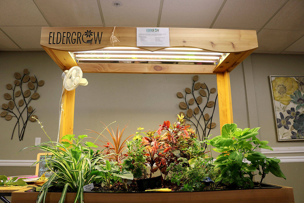 The indoor therapy gardens help stimulate residents’ senses and memory and improves motor skills, self-esteem, and sleep. Stephanie Quiroz/staff photo