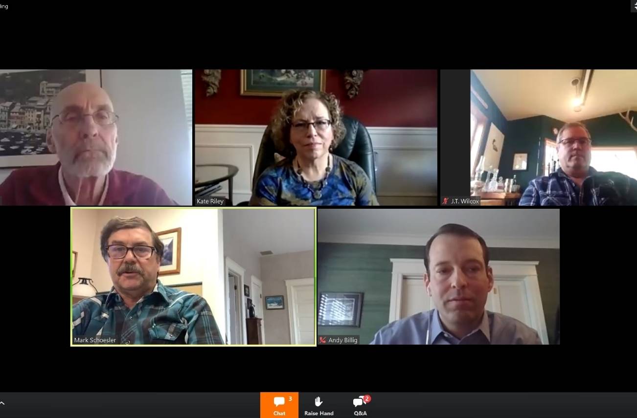State legislators discussed COVID-19 impacts during a East King Chambers Coalition webinar on March 31 moderated by Kate Riley of The Seattle Times. Screenshot