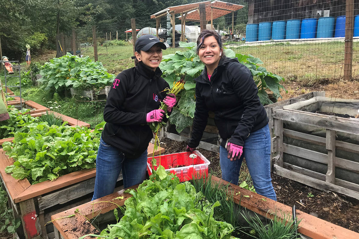 Zsofia Pasztor, founder of Woodinville-based non-profit Farmer Frog, is a certified horticulturist, arborist and landscape designer who helps build community and family gardens, starting from a foundation of Cedar Grove soil and compost.