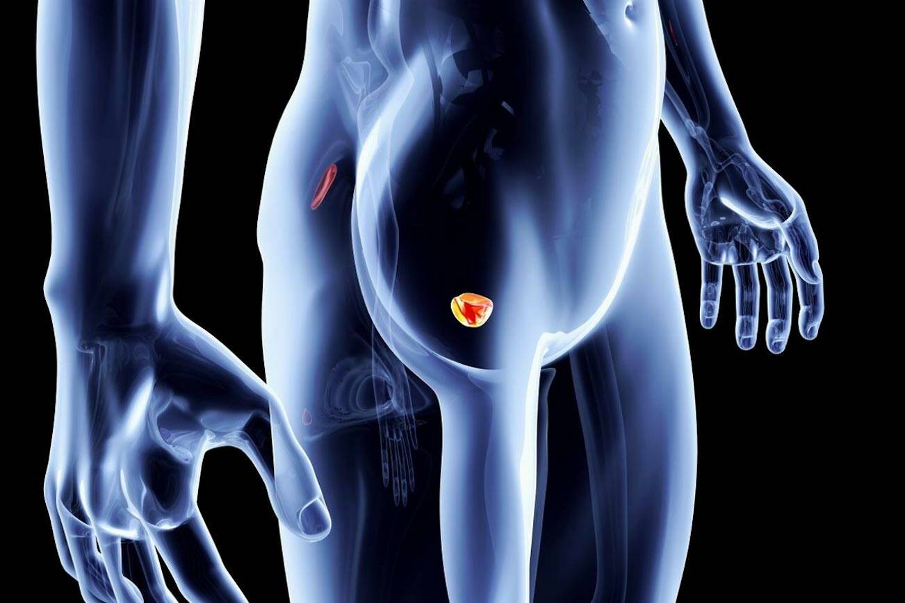 The Insider Secret on Prostate supplements  Uncovered