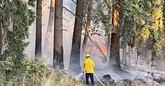 Firefighters from four agencies extinguished a brush fire Wednesday evening, Aug. 16 in the 3300 block of South 260th Street on the West Hill in Kent. COURTESY PHOTO, Puget Sound Fire