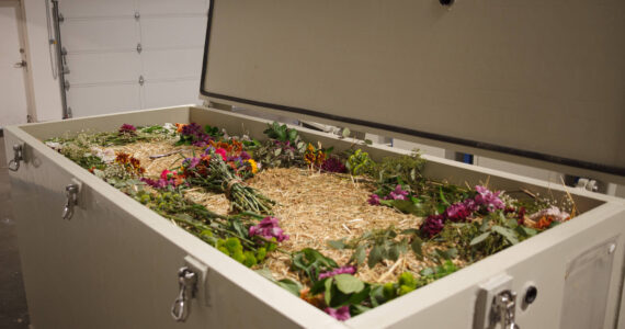 One of Return Home’s cells, filled entirely with organic material, demonstrates what the terramation cells look like. Based in Auburn, Return Home is one of the few terramation companies in the world. They transform people into soil. File photo