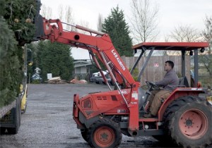Steven Sifuentes unloads some trees at McMurtrey’s Red-Wood Farm for the upcoming holiday season. The farm will be open daily starting today through Dec. 21.