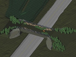 Construction on a wildlife crossing on Novelty Hill is set to begin next week.