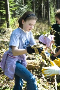 Hannah Forsyth helps remove invasive plants during this week's wetlands restoration project.