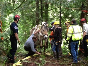 After spending about 30 hours at the bottom of a ravine outside of Redmond