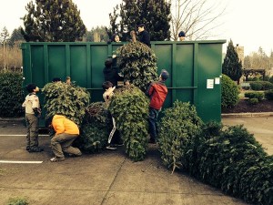 Members of Redmond Boy Scout Troop 557 recycle Christmas trees last year.