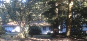 Pictured is the house in the 22000 block of Northeast 75th Street in unincorporated King County east of Redmond where a son was arrested after his father was fatally shot on Friday.