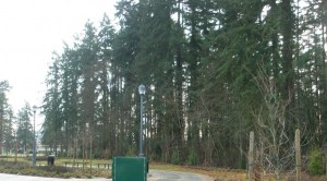 The former heron rookery