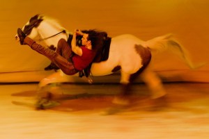 A trick rider performs acrobatics on his horse as part of the Cavalia equestrian performing arts show. The show opens Thursday and will run through Feb. 12.