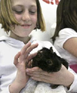 Fourth grade student Kaija Gibson pets “Fudge