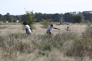 About 80 Amazon volunteers clean up and improve the habitat at the Marymoor Park BirdLoop in accordance with Eastside Audubon last Friday as part of King County for United Way’s Day of Caring.