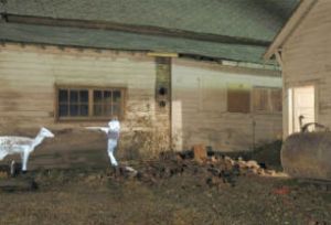 “First Kill” is an example of artist Justin Colt Beckman’s site-specific projection projects that he has done in the past. Starting Feb. 28