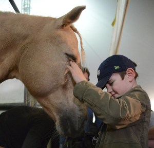 'An intimate encounter' photo takes first place: Eli McCalmont