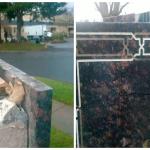 The sign outside the Muslim Association of Puget Sound was vandalized Monday morning.