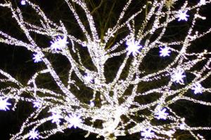 City will plug in its Redmond Lights event on Dec. 3