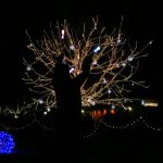A silhouetted performer twirls lights following the tree lighting tonight on the Redmond City Hall campus. Andy Nystrom, Redmond Reporter