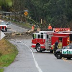 Huge tree falls onto Northeast 124th Street in Redmond; no vehicles involved