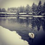 Winter wonderland: Redmond community enjoys a snow day on Monday | SLIDESHOW