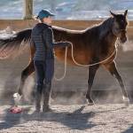 SAFE volunteer rider Lindsay Refvem works with rescued mare Cameo. Courtesy of Jessica Farren