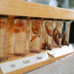 Redmond students get hands-on experience with fish