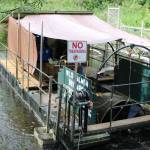 Redmond students get hands-on experience with fish