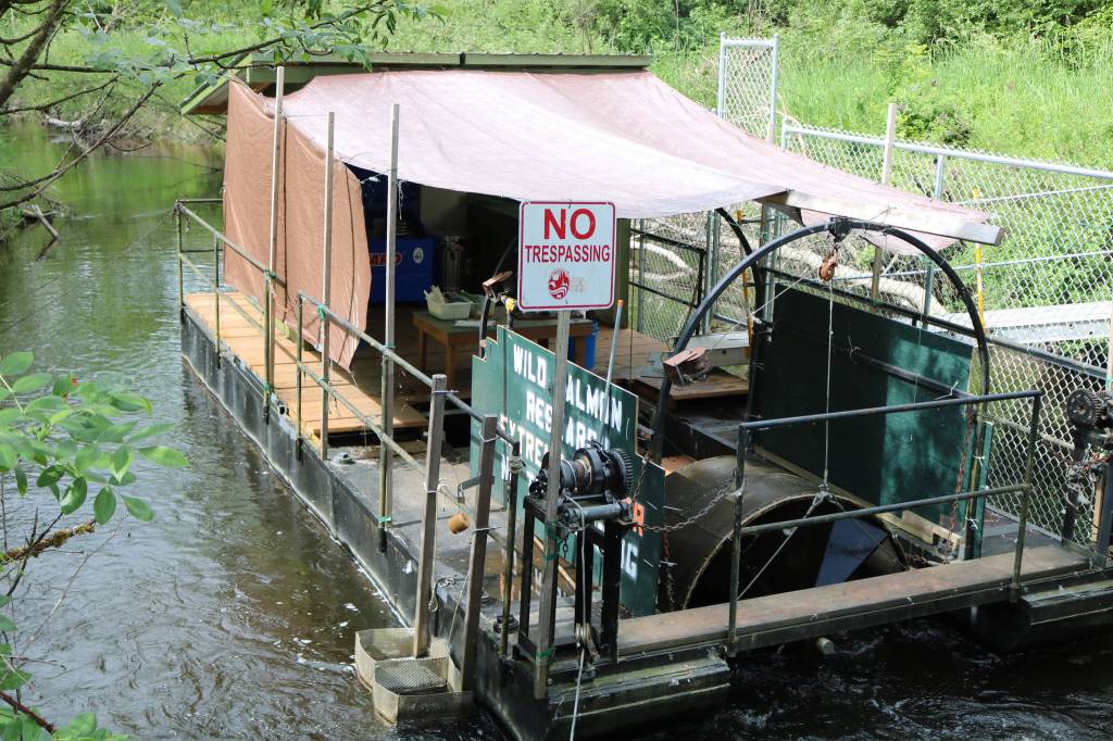 Redmond students get hands-on experience with fish