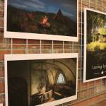 Video-game art design shines at VALA display